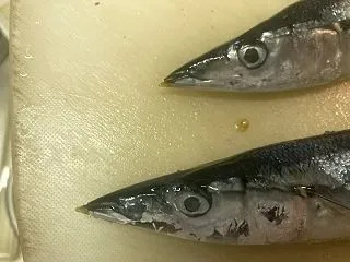水曜定食2026【6】今やスペシャル高級…