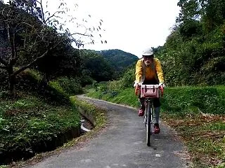 山里の風景の中を、こんな道はガード付きが…