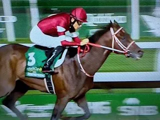アメリカ競馬ブリーダーズカップクラシック…