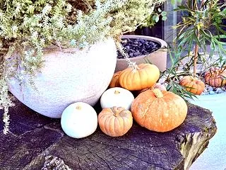 少しハロウィンを味わう