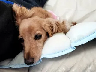 やっと休日