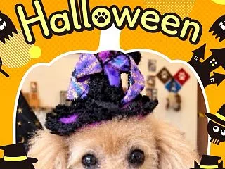 Happy Halloween！