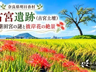 【古宮遺跡（古宮土壇）】小墾田宮の謎と彼…