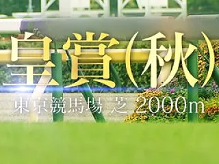 さぁ、天皇賞秋！！