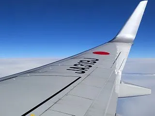 我が心の右翼：羽田空港から宮崎空港までJ…