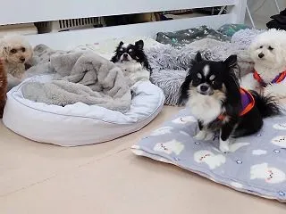 午後はまったりな土曜日 ひみつきちなう！…