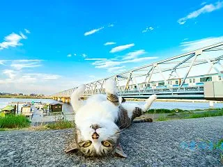 第19回タムロン鉄道風景コンテストにてユ…