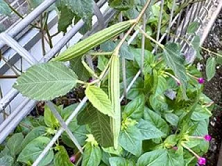 10月もオワリ。