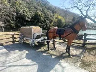 銀山に行った帰りに立ち寄る銀の馬車道