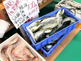 【10/31開催!まさがよっ!?フェステ…
