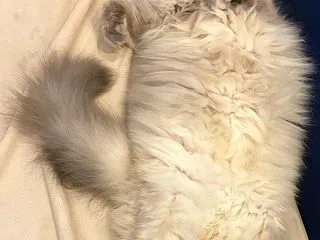 投資総額 2026年11月の投資記録（遺…