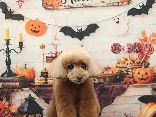 お友達ご紹介♪♪