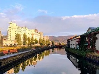 秋の小樽と北大金葉祭
