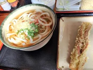今年二回目♬