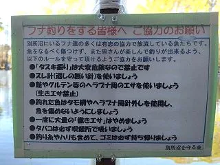 小物釣り in 別所沼公園