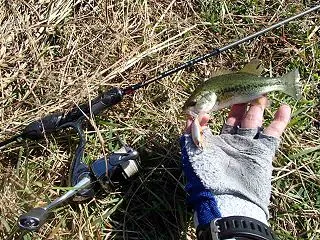 琵琶湖釣行と徳島いはらソルトフェスティバ…
