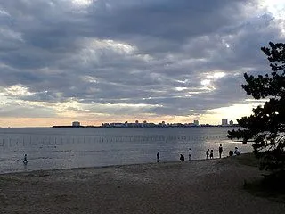 三番瀬海岸