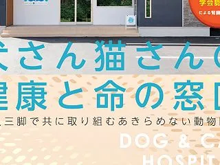 第4回（最終回）：慢性腸症の治療効果をど…