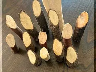 木の枝でリサイクル