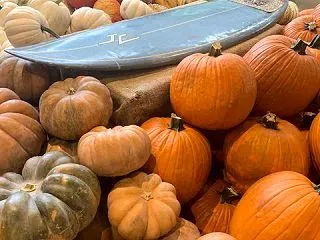 ハッピーハロウィン2026🎃