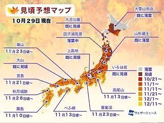 例年11月上旬に見頃を迎える名所は平年並…