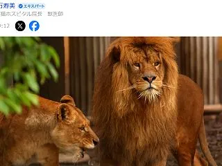 【Yahoo! 多摩動物公園】今夏、ライ…