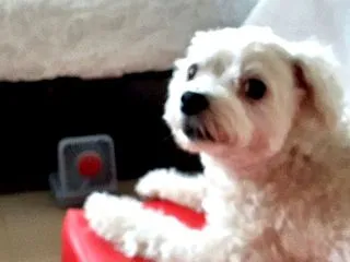 【AIに聞いてみた】もし日本全国で3日間…