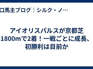 アイオリスパルスが京都芝1800mで2着…