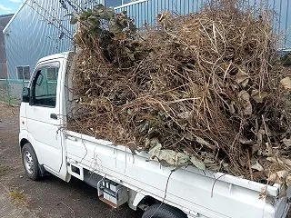 刈った草の回収作業