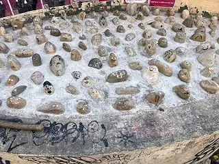 デモの影響を受けたこと