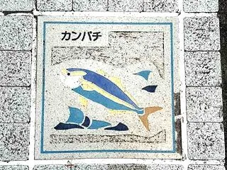 妄想 カンパチの歩道タイル 