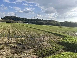 超、超、ご無沙汰です