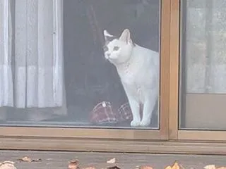季節感