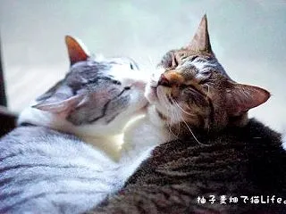 10月の出来事…(^^;)