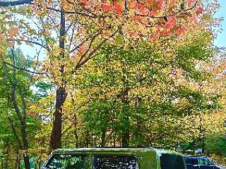 カリスマ投資家といえど後悔先に立たずかも