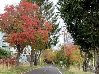 10月終了