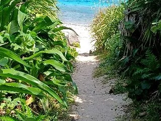 沖縄空手の化石？！(来福)