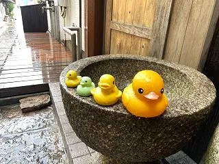 No.6794 12回目の祥月命日の旅行…