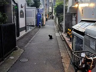 雨風呂十月ハロウィン【十月の最終日】
