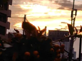 【複製】雨風呂十月ハロウィン【十月の最終…