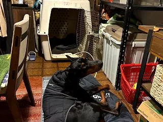 ジャック・スパロウに着替えるか