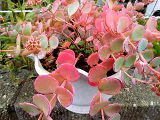 今月の〆も雨予報 w(ﾟoﾟ)w ｵｵｰ…
