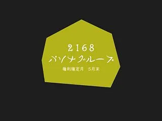 次は進撃の巨人ナイトウォークに参加予定！…