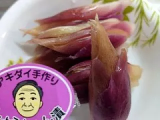ミョウガの糠漬け