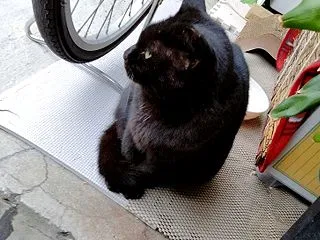 今日はさすがに雨が多くて・・・