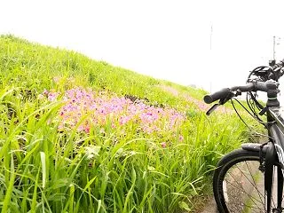 ６期目が終わり 我が社は７期目へ