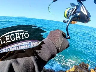 【ロックショア】離島の磯で青物が水面炸裂…