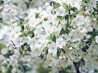 今日のマヤ暦「一度、手放してみましょう」…