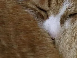 寒いと思うのに来なかった