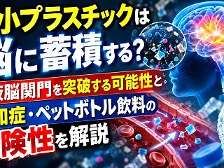 微小プラスチックは脳に蓄積する？血液脳関…